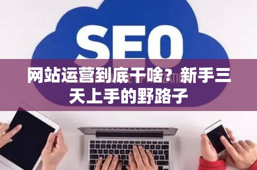 网站运营到底干啥？新手三天上手的野路子